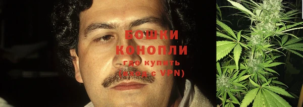 стаф Нягань