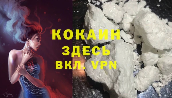 мяу мяу мука Новодвинск