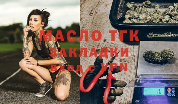 дживик Новозыбков