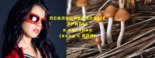 стаф Нягань