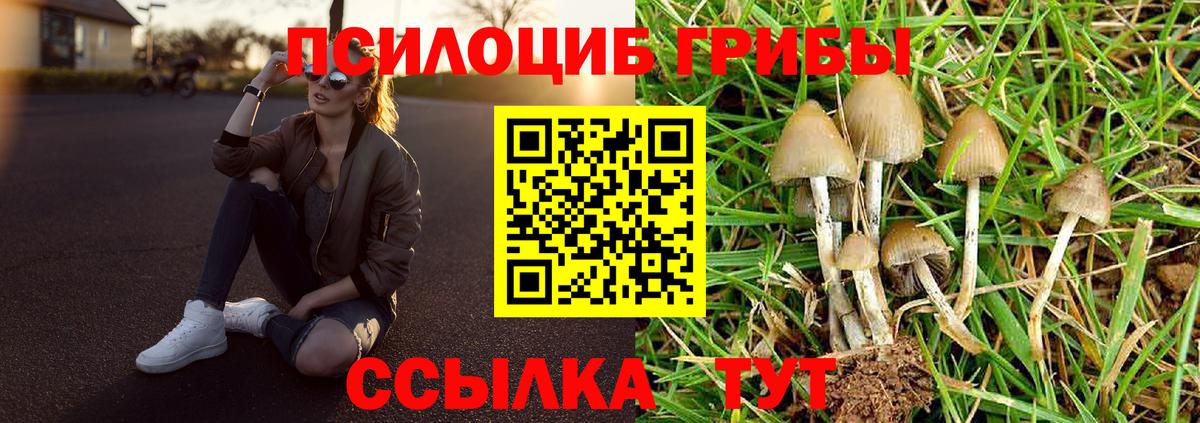 Псилоцибиновые грибы мухоморы Кохма