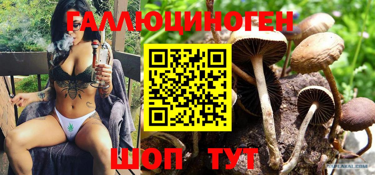 Псилоцибиновые грибы MAGIC MUSHROOMS  Вход с VPN  Кохма 