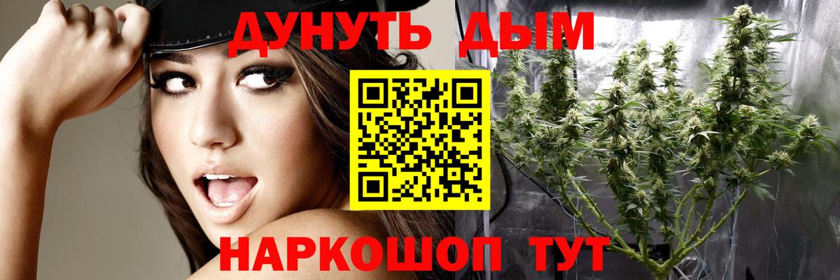 Кохма  Каннабис план  Вход с VPN  Канабис AK-47  Каннабис ГИДРОПОН 